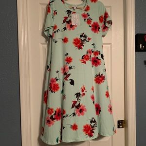 LuLaRoe Jessie Dress